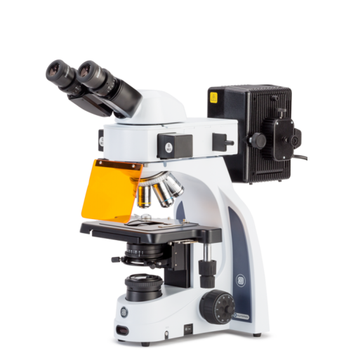 iScope à fluorescence