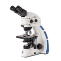 Oxion fluorescence