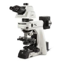 Delphi-X Observer polarization