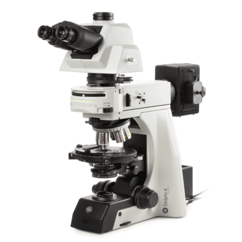 Delphi-X Observer Polarisierung