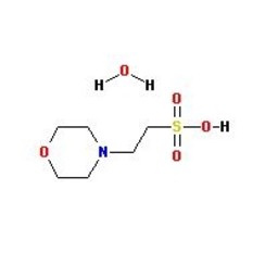 MES monohydraté