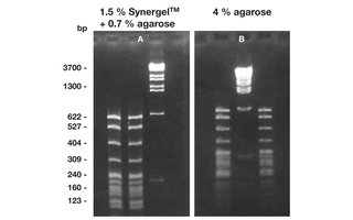 Agarose and Gelling Reagents