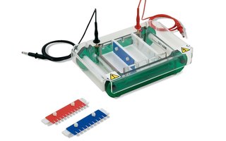 Electrophoresis Units