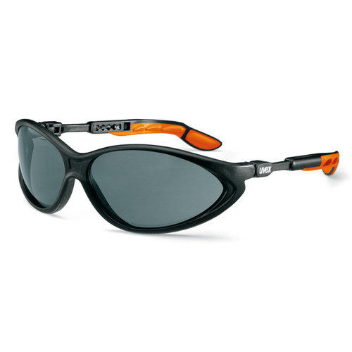 Schutzbrille zybric, grau