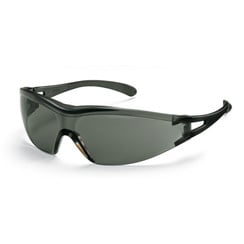 Veiligheidsbril x-one, grijs, zwart