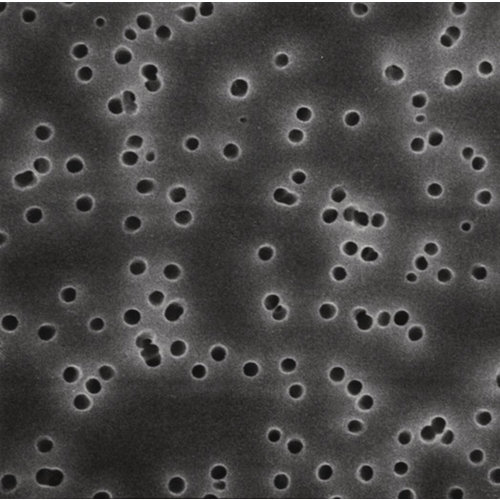 Polycarbonat-Membranfilter