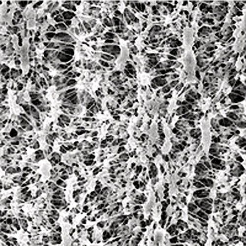 Filtres à membrane PTFE, hydrofilés