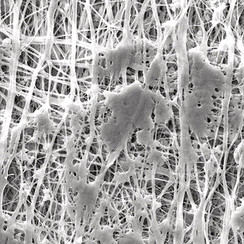 Filtres à membrane PTFE avec structure de support stratifiée