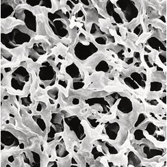 PVDF membrane filters, hydrophobic