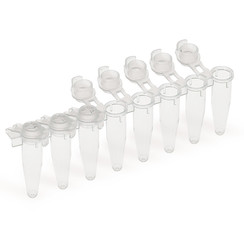 PCR strips 8 Lid flat, colourless