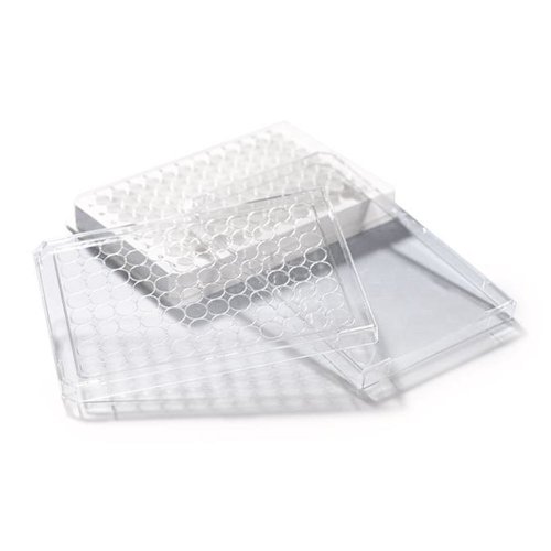 Accessories BRANDplates® Lid for microtitration plates BRANDplates® standard (height 8 mm) without condensation rings