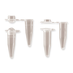 PCR individual kegs, Flat lid, 0.5 ml