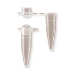 PCR individual kegs, Lid vaulted, 0.2 ml