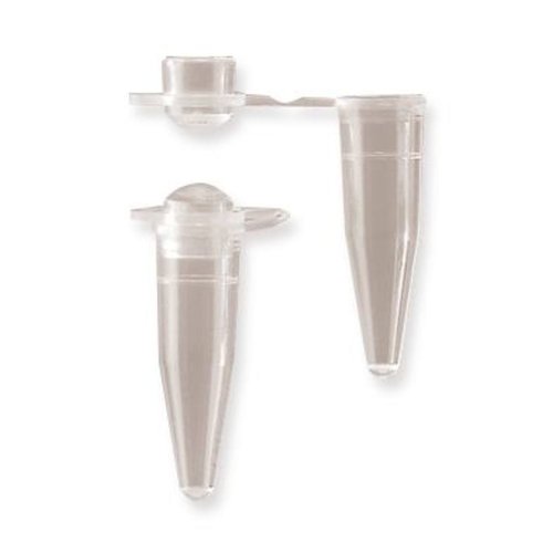 PCR individual kegs, Lid vaulted, 0.2 ml