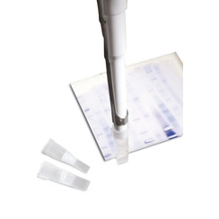 Pipettips Gel Schneidspitzen 6,5 x 1 mm, Box (Schiebedeckel)