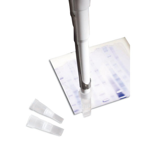 Pipettips Embouts de coupe en gel 4 x 1 mm, Boîte (couvercle coulissant)