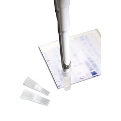 Pipettips Gel cutting tips 4 x 1 mm, Bag