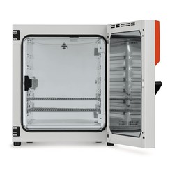 Incubator BD series With natural air movement (convection), 253 l, BD 260