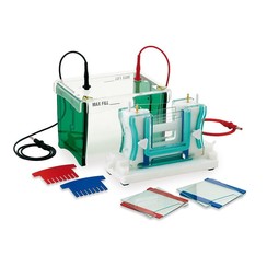 Electrophoresis Unit MINI Vertical, Standard