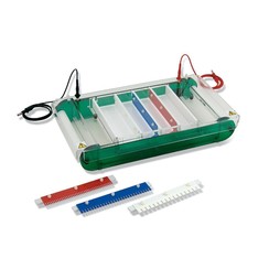 Electrophoresis Unit MIDI 2