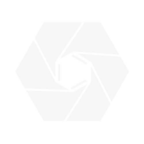 Standard Glass Plates  PROclamp MINI Wide with fixed spacers, 0.75 mm