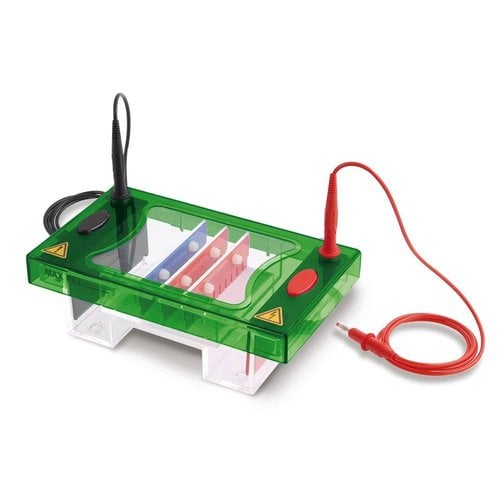 Electrophoresis Unit   PROfessional II