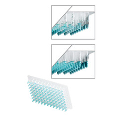 Toebehoren Adapter voor strips en kleine PCR-platen Geschikt voor centrifuge C1000