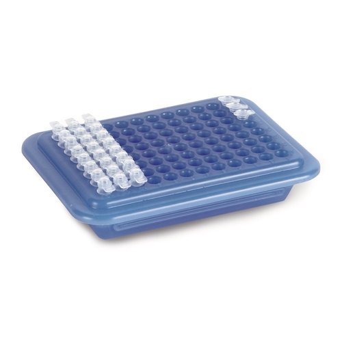 Koelbox PCR, donkerblauw naar lichtblauw
