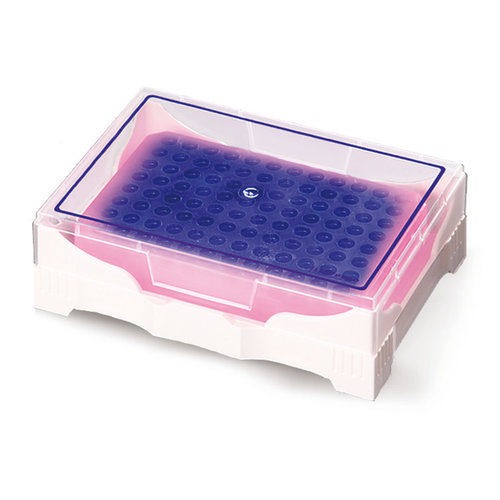 Coolbox PCR, violeta a rosa