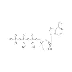 Adenosin-5'-triphosphate disodium salt (ATP)