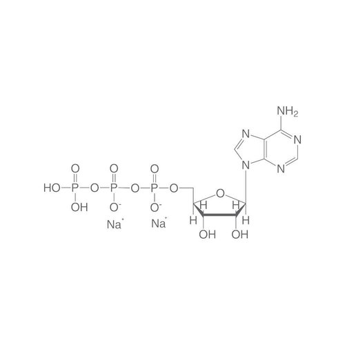 Adenosin-5'-triphosphate disodium salt (ATP)