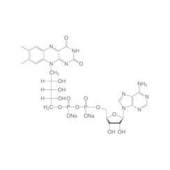 Flavine-adenine-dinucleotide disodium salt (FAD)