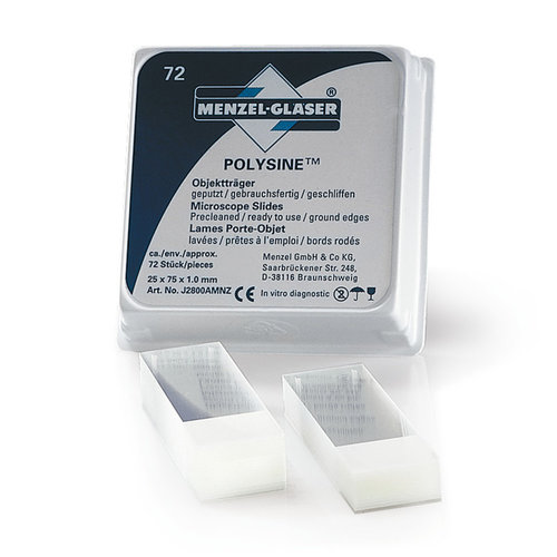 Adhesion slides Polysine®