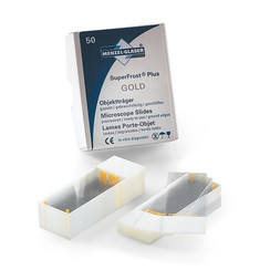 Adhäsionsschieber Superfrost® Plus Gold