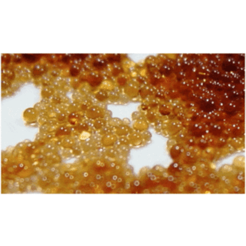 Ion exchange resin  1 x 2, 25 g