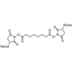 Bis(3-sulfo-N-succinimidyl) Suberate Disodium Salt >96.0%(N) 50mg