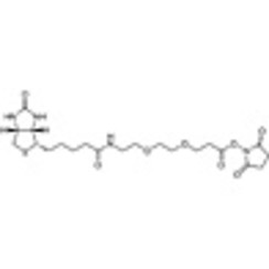 Biotin-PEG2-NHS (2mg*5) 1set