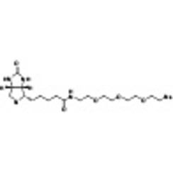 Biotin-PEG3-Azide (2mg*5) 1set