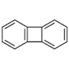 Biphenylene >99.0%(GC) 1g
