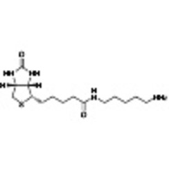 Biotin-C5-Amine (2mg×5) 1set