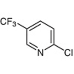 2-Chloro-5-(trifluoromethyl)pyridine >97.0%(GC) 25g