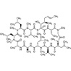 Cyclosporin A >97.0%(HPLC)(N) 1g