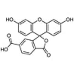 6-Carboxyfluorescein >97.0%(HPLC) 100mg