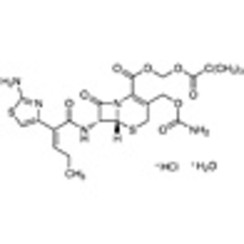 Cefcapene Pivoxil Hydrochloride Monohydrate >98.0%(HPLC)(N) 1g