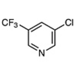 3-Chloro-5-(trifluoromethyl)pyridine >97.0%(GC) 5g