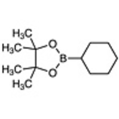 2-Cyclohexyl-4,4,5,5-tetramethyl-1,3,2-dioxaborolane >97.0%(GC)(T) 5g