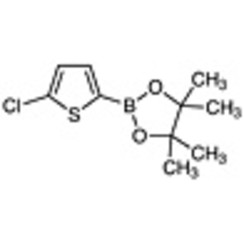 5-Chloro-2-(4,4,5,5-tetramethyl-1,3,2-dioxaborolan-2-yl)thiophene >97.0%(GC)(T) 1g