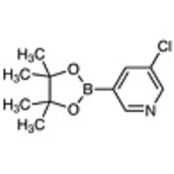 3-Chloro-5-(4,4,5,5-tetramethyl-1,3,2-dioxaborolan-2-yl)pyridine >98.0%(GC)(T) 1g