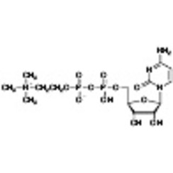 Cytidine 5'-Diphosphocholine >98.0%(HPLC) 5g