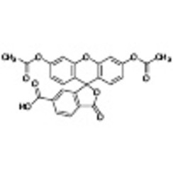 6-Carboxyfluorescein Diacetate >90.0%(T) 100mg